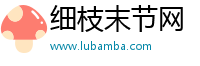 细枝末节网