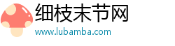 细枝末节网